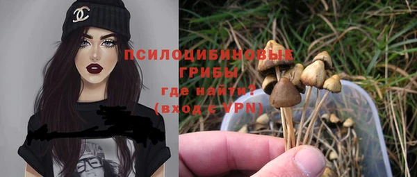 ALPHA PVP Баксан